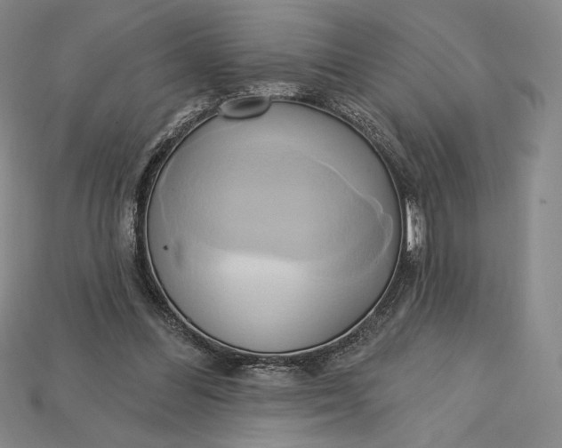X0000115170300200911121745