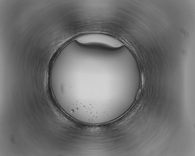 X0000115170301200911121745