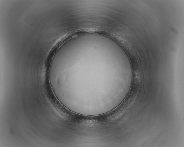X0000115170304200911121745