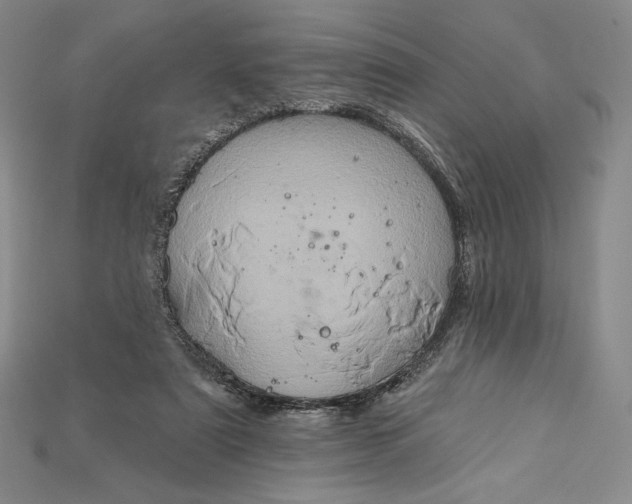 X0000115170307200911121745