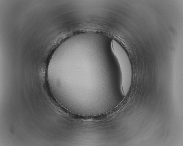 X0000115170309200911121745