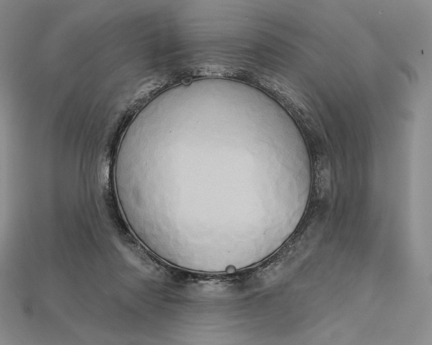 X0000115170310200911121745