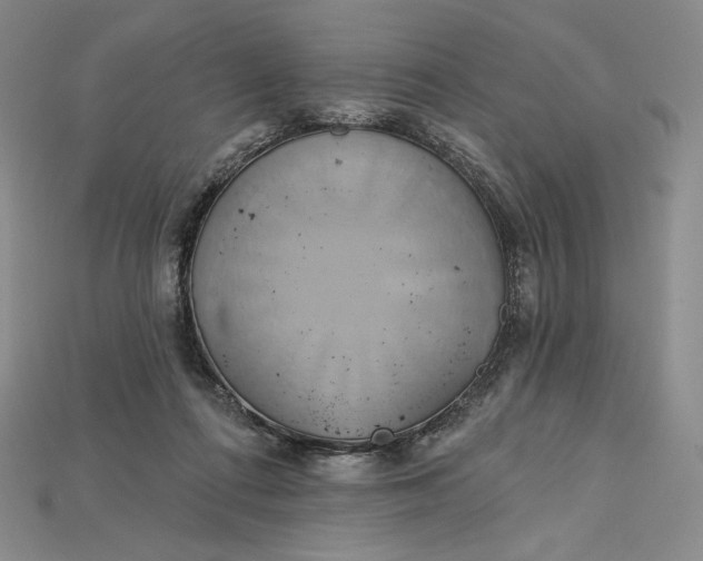 X0000115170312200911121745