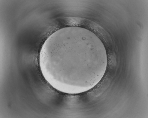 X0000115170313200911121745