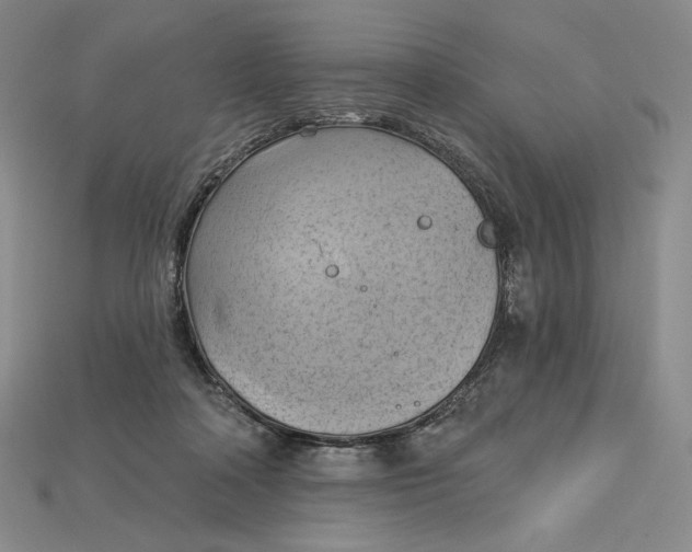 X0000115170314200911121745
