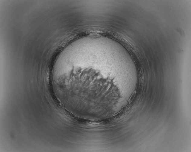 X0000115170315200911121745