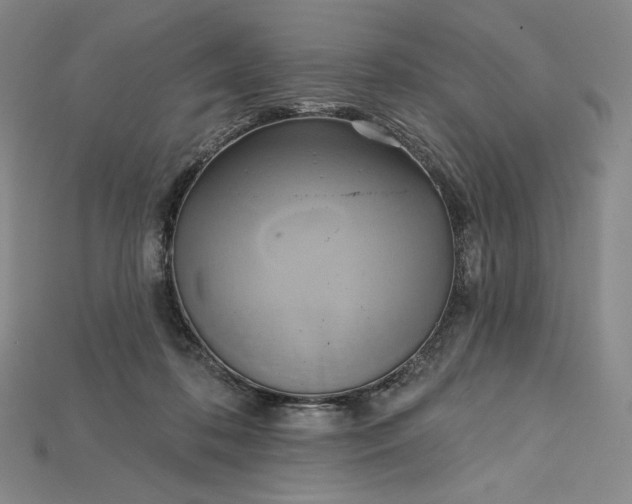 X0000115170316200911121745