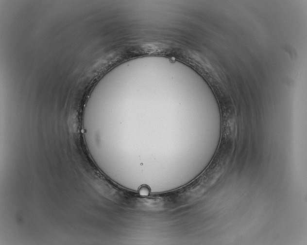 X0000115170317200911121745