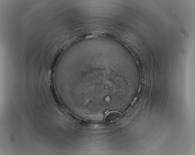 X0000115170319200911121745