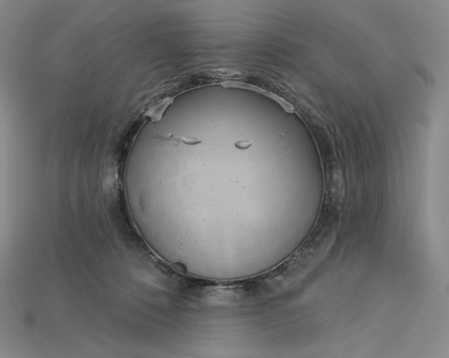X0000115170320200911121745