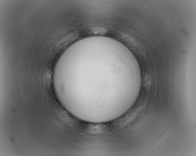 X0000115170321200911121745