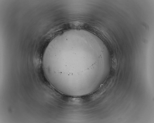 X0000115170324200911121745