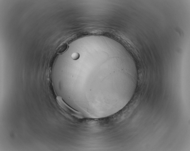X0000115170325200911121745