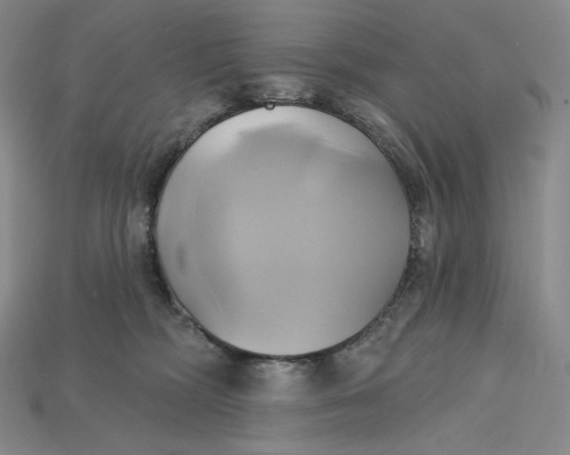 X0000115170326200911121745