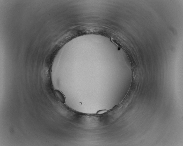 X0000115170327200911121745