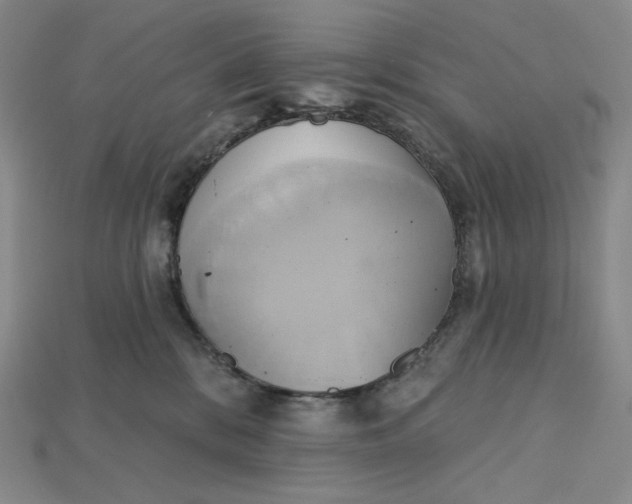 X0000115170328200911121745