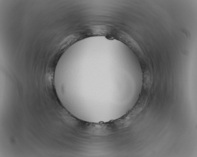 X0000115170329200911121745
