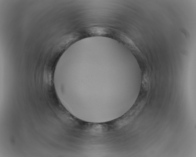 X0000115170330200911121745