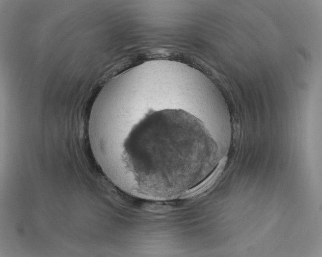 X0000115170331200911121745
