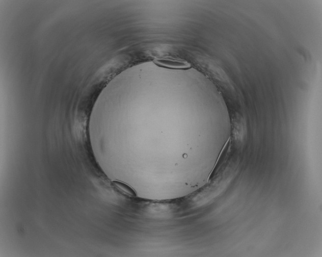 X0000115170332200911121745