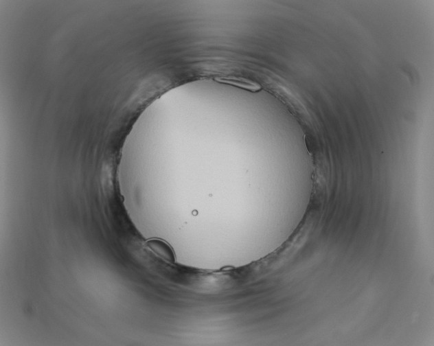 X0000115170333200911121745