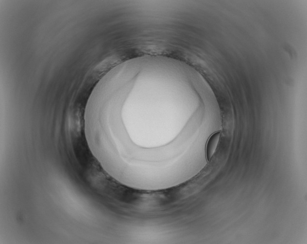 X0000115170334200911121745