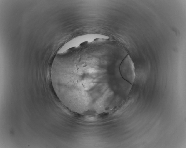 X0000115170335200911121745