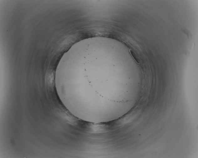 X0000115170336200911121745