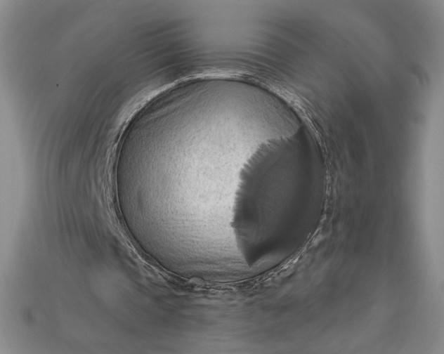 X0000115170337200911121744