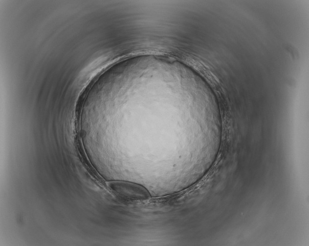 X0000115170338200911121744