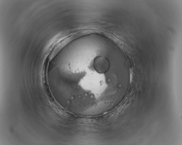 X0000115170339200911121744