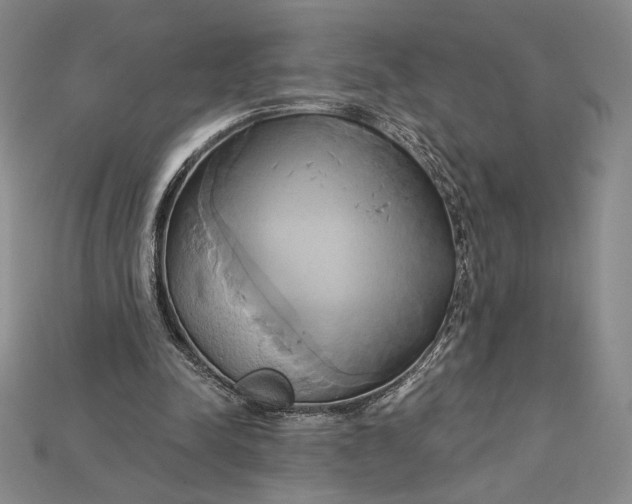 X0000115170342200911121744