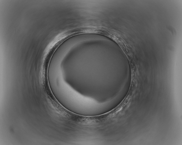 X0000115170343200911121744