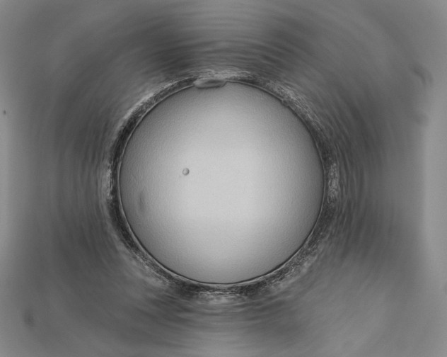 X0000115170351200911121744