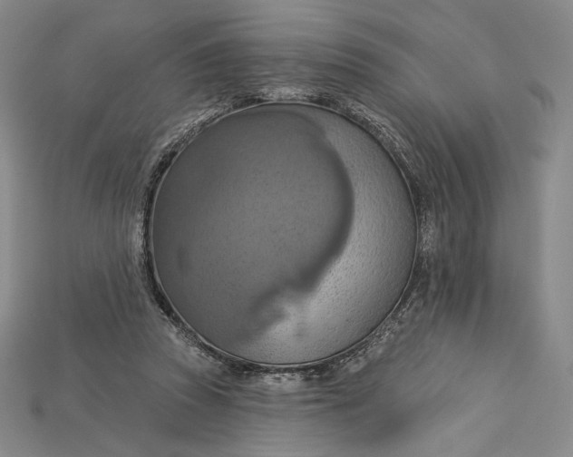 X0000115170353200911121744