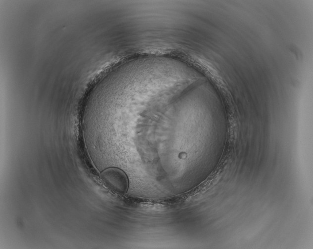X0000115170354200911121744