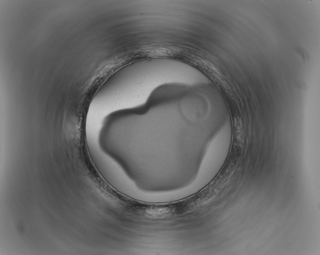 X0000115170357200911121744