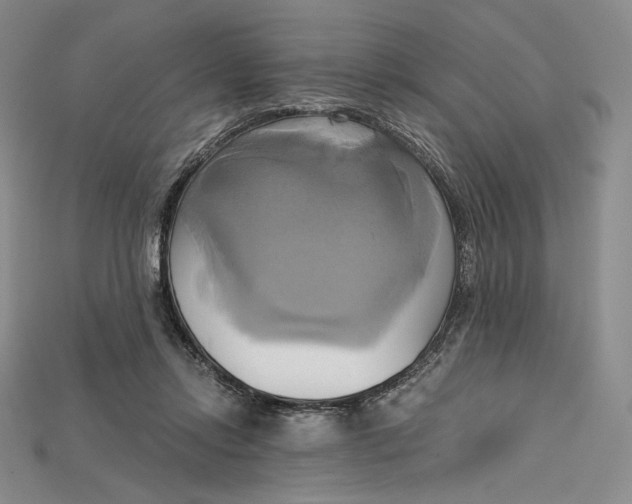 X0000115170358200911121744