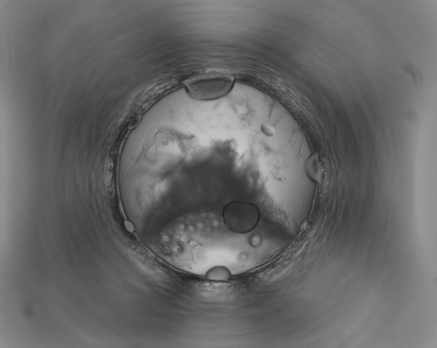 X0000115170361200911121744