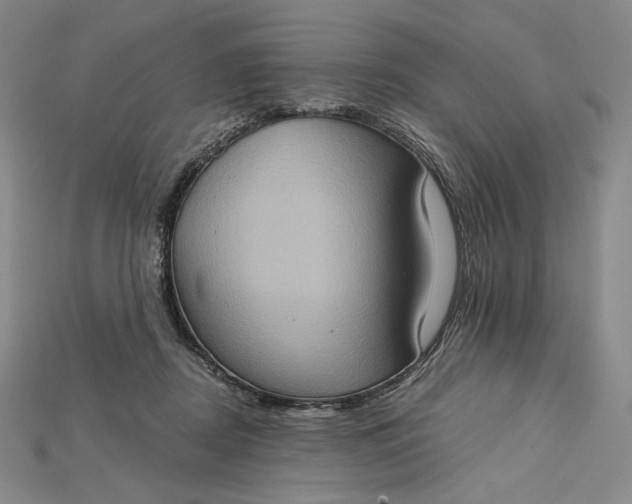 X0000115170362200911121744