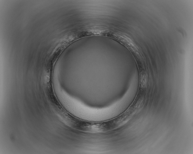 X0000115170365200911121744