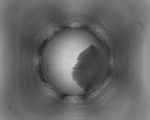 X0000115170367200911121744