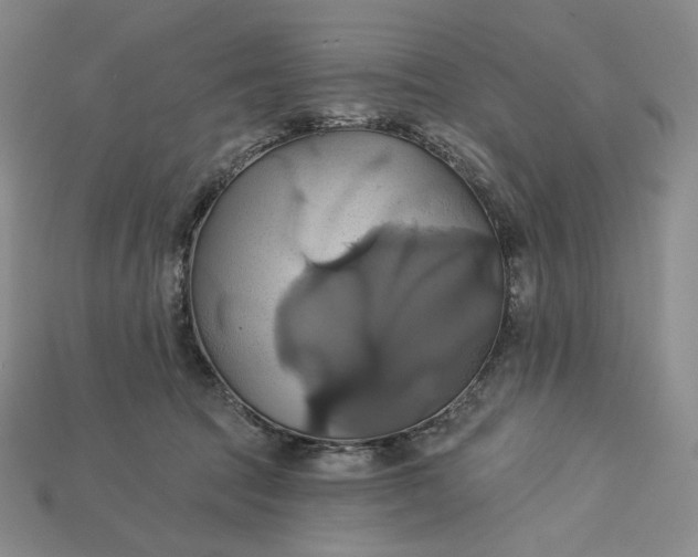 X0000115170369200911121745