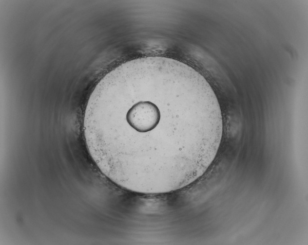 X0000115170370200911121745