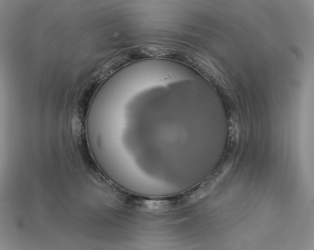 X0000115170371200911121745