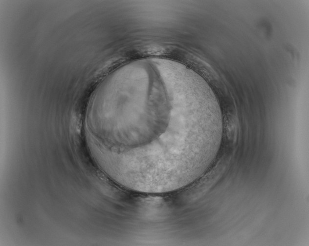 X0000115170374200911121745