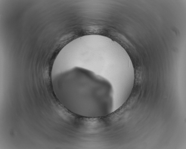X0000115170377200911121745