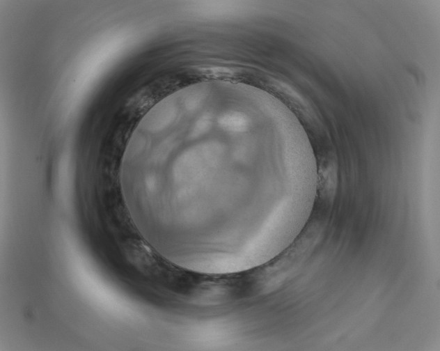 X0000115170381200911121745