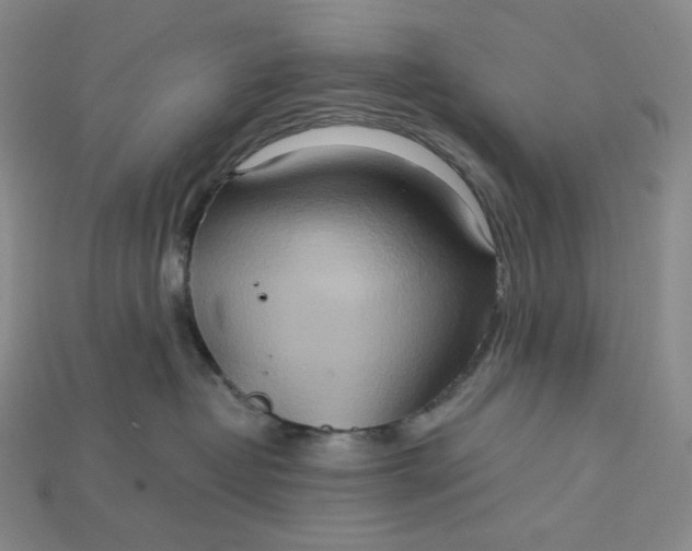 X0000115170382200911121745