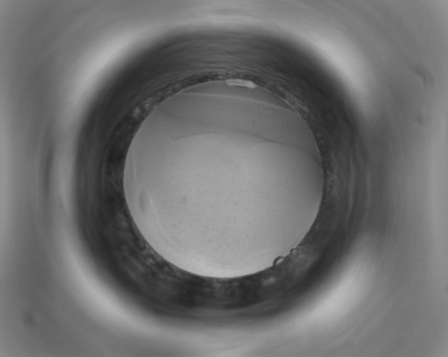 X0000115170383200911121745